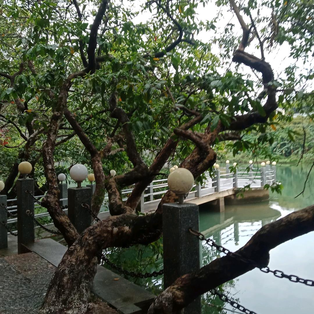 一生有你