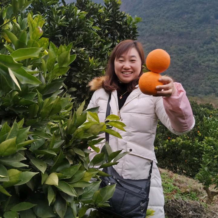 曹姐