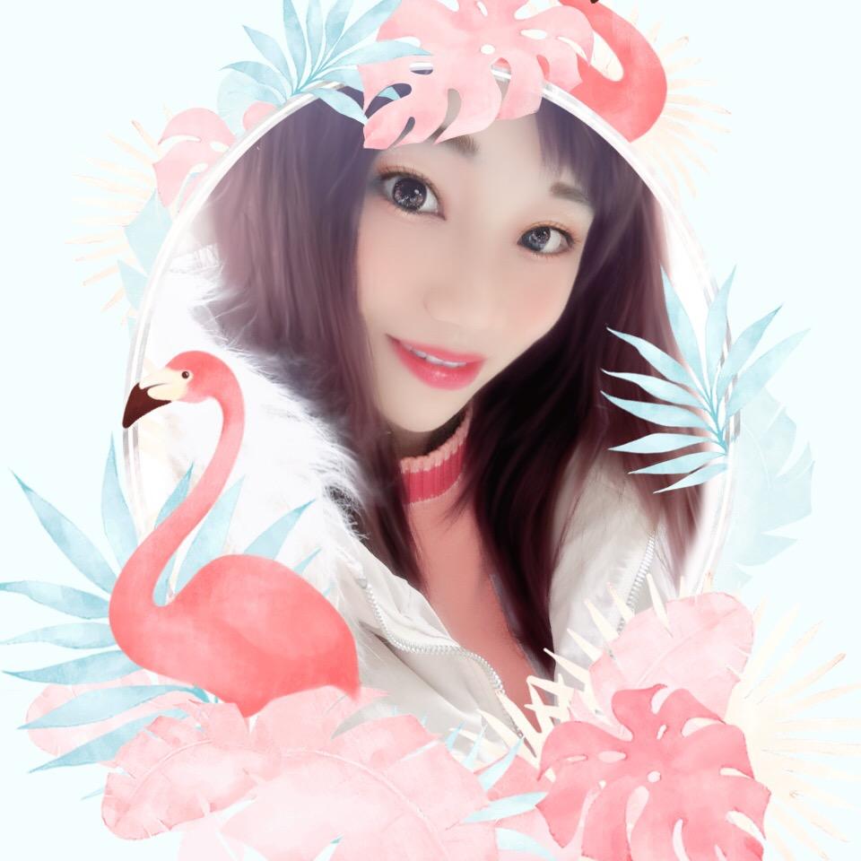 @肖肖