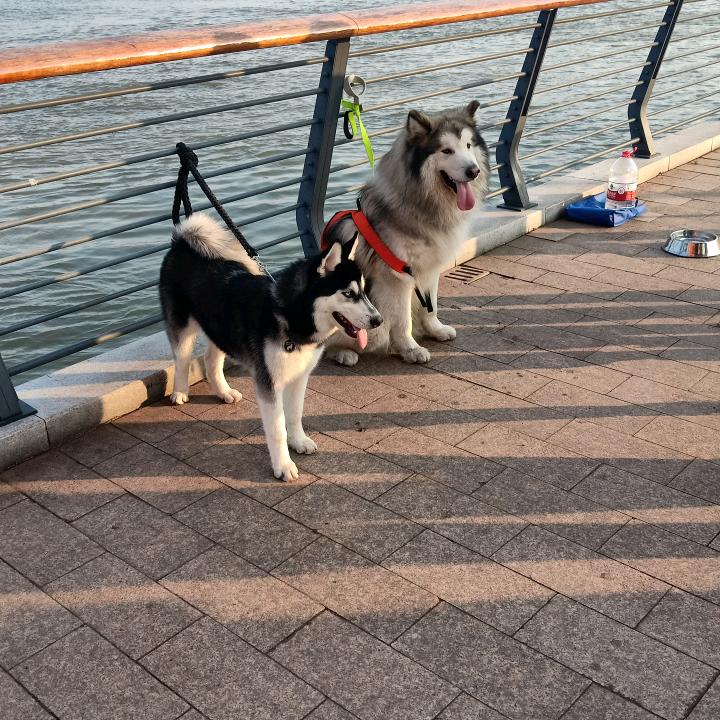 传奇上海滩