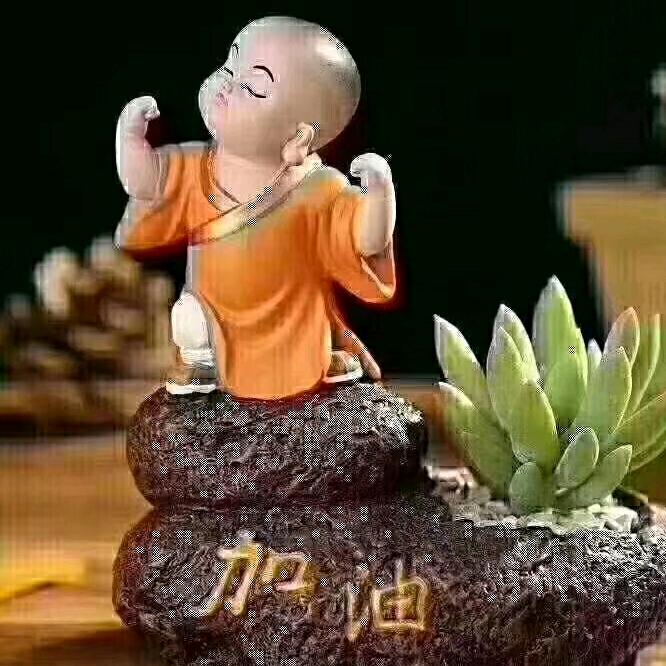 理诚家1314🌻🌻🌻