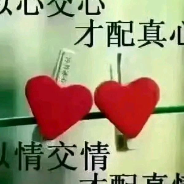 青青子衿 悠悠我心