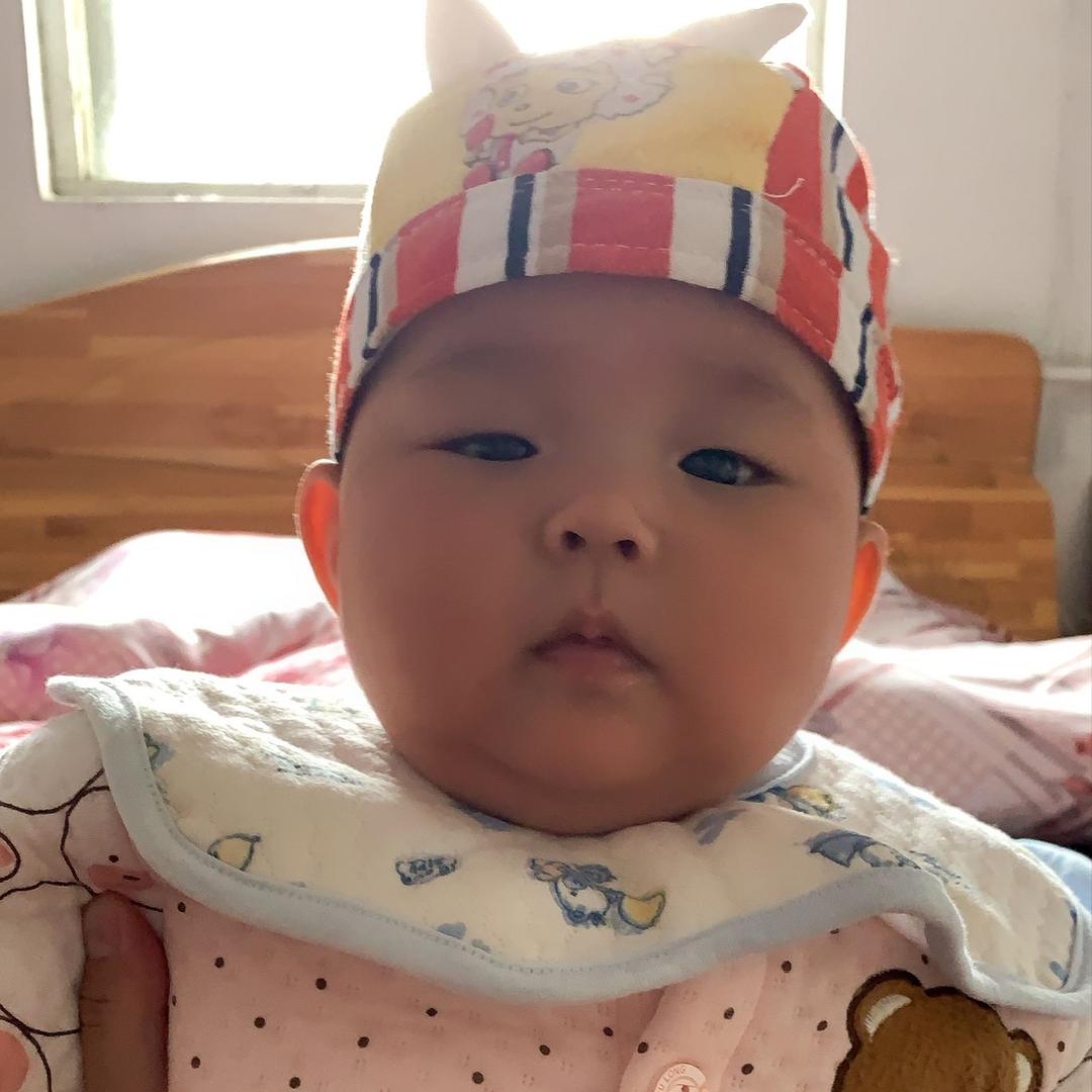 双子宝宝