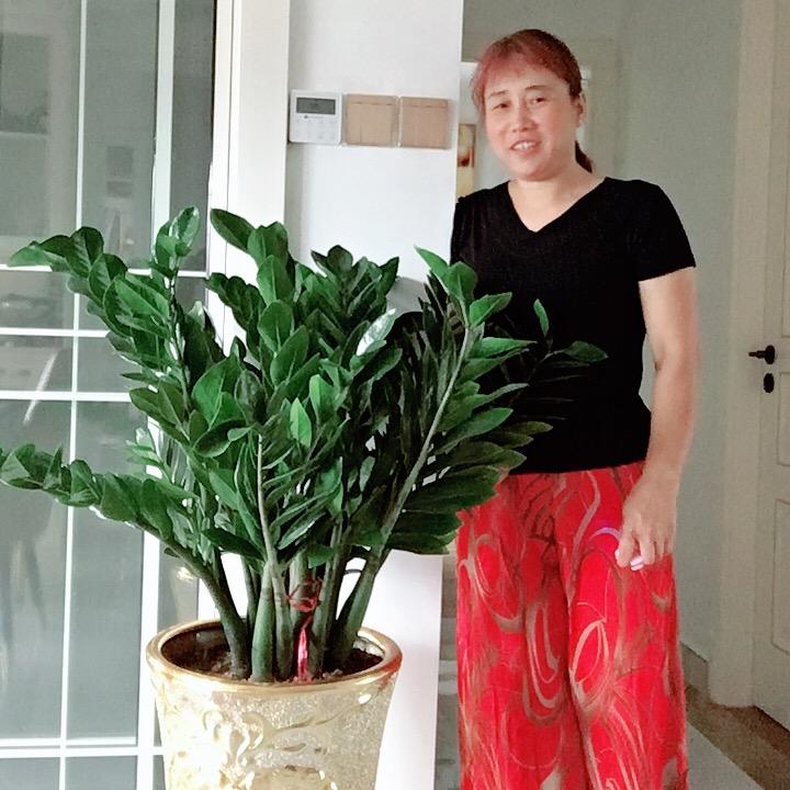 草原青青