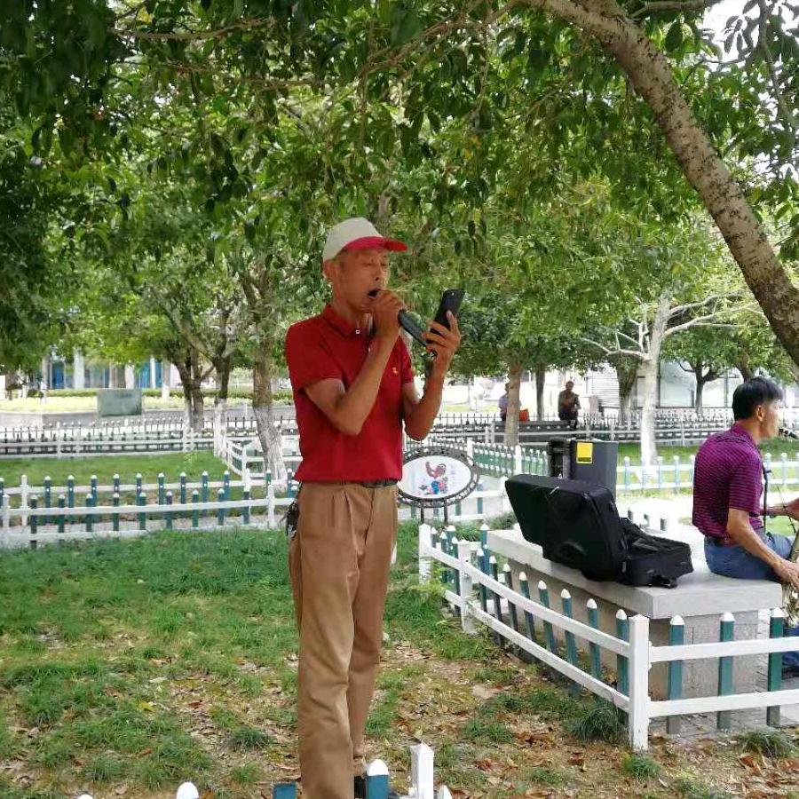 绿色树林。王哥