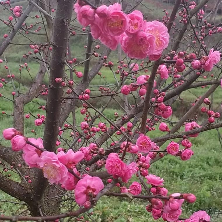 一切安好