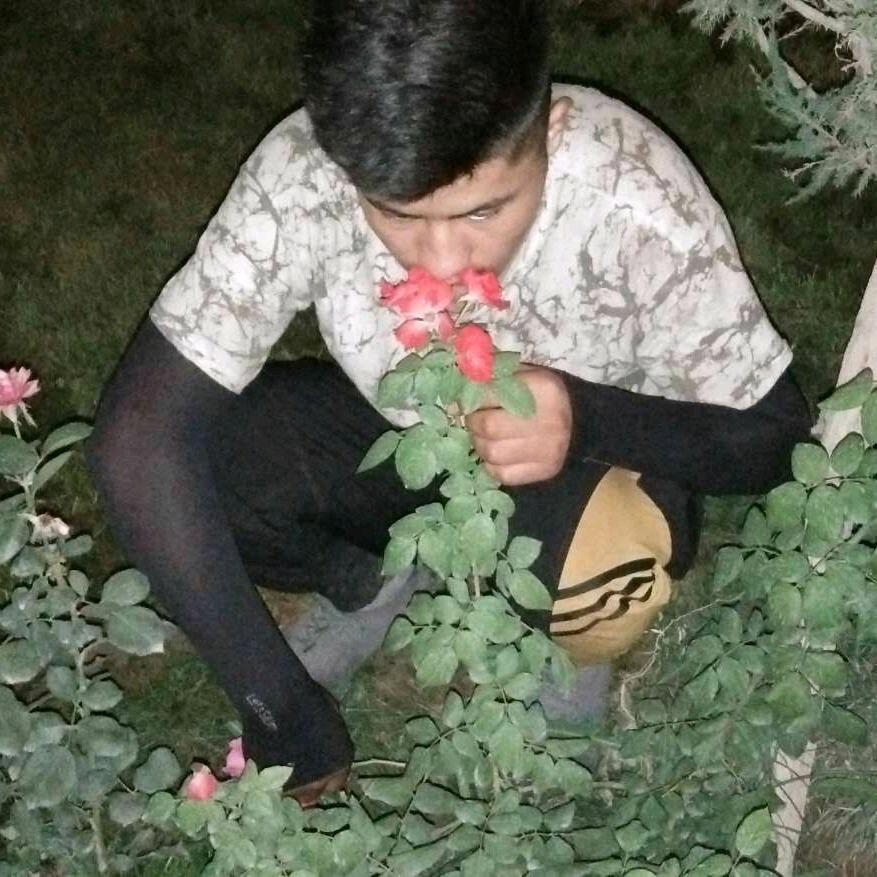 艾哥