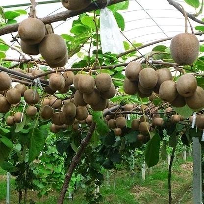 时光不老我们不散