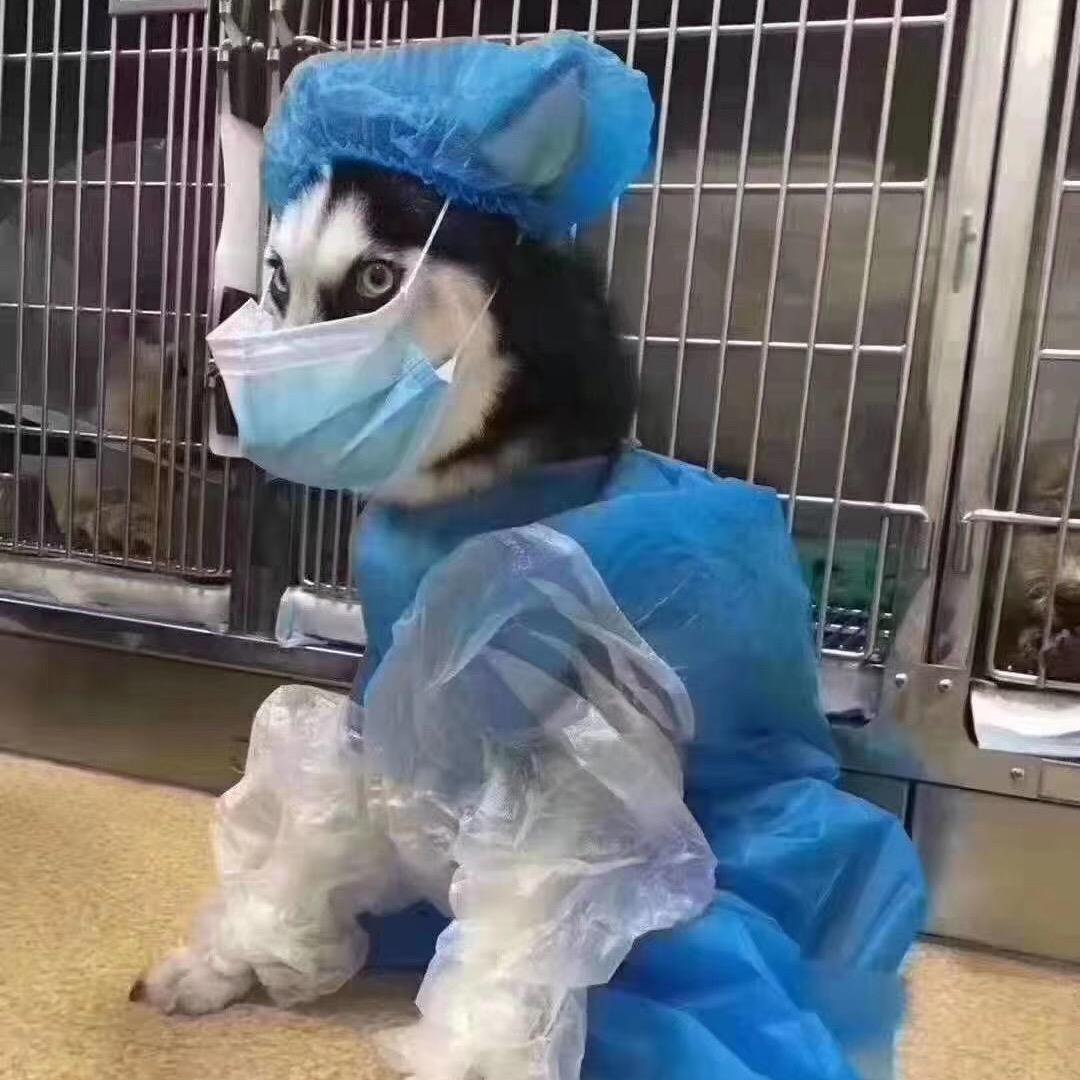 高山流水