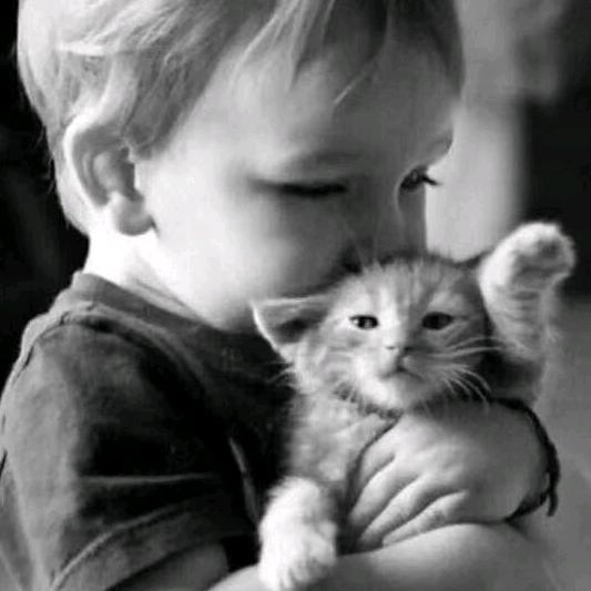 霸气之男(关赞必回)