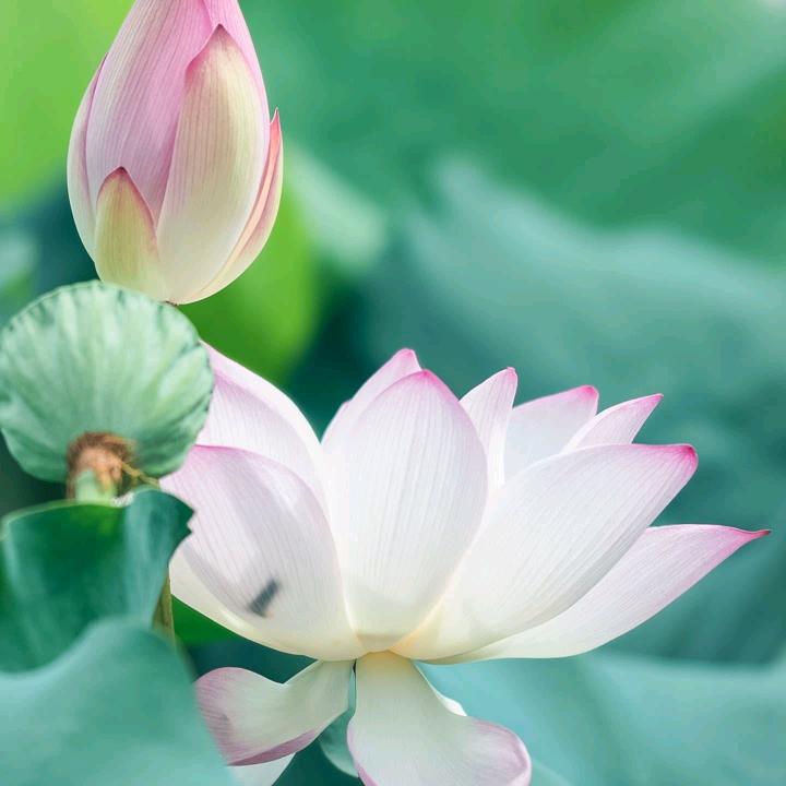 你乖给你买条街