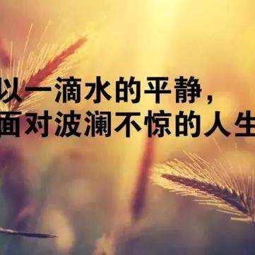 岛是海哭碎的心