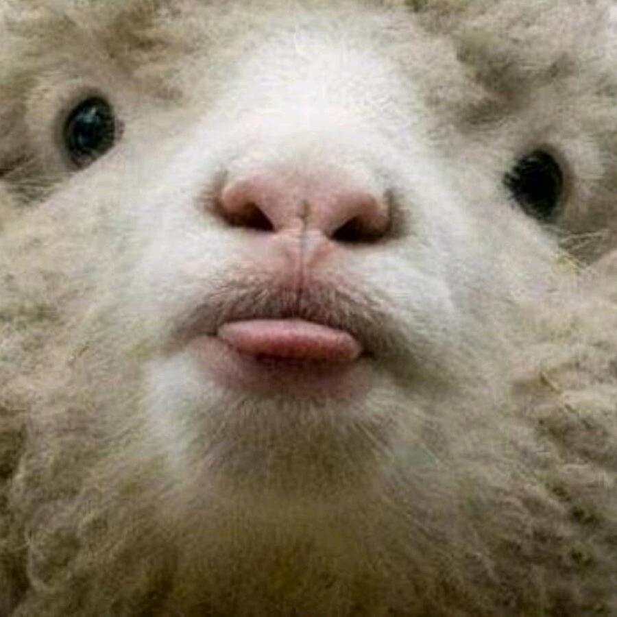 请你等等我•Ꮤ