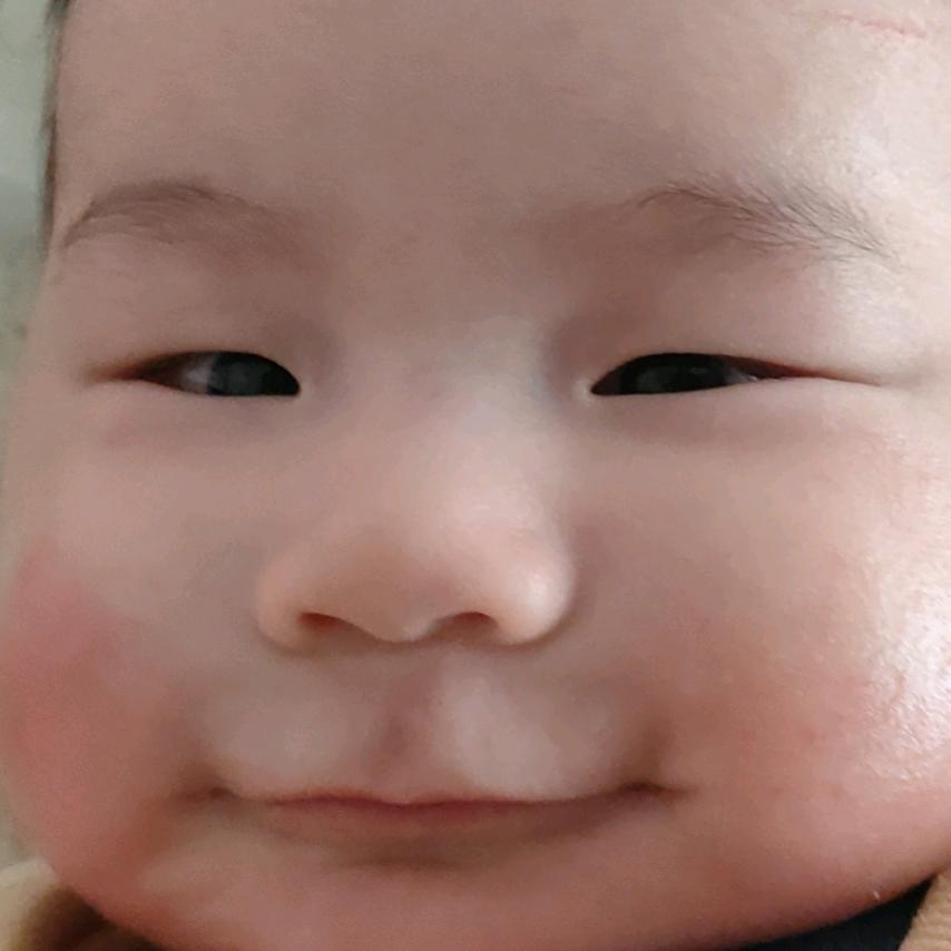 元元+洋洋