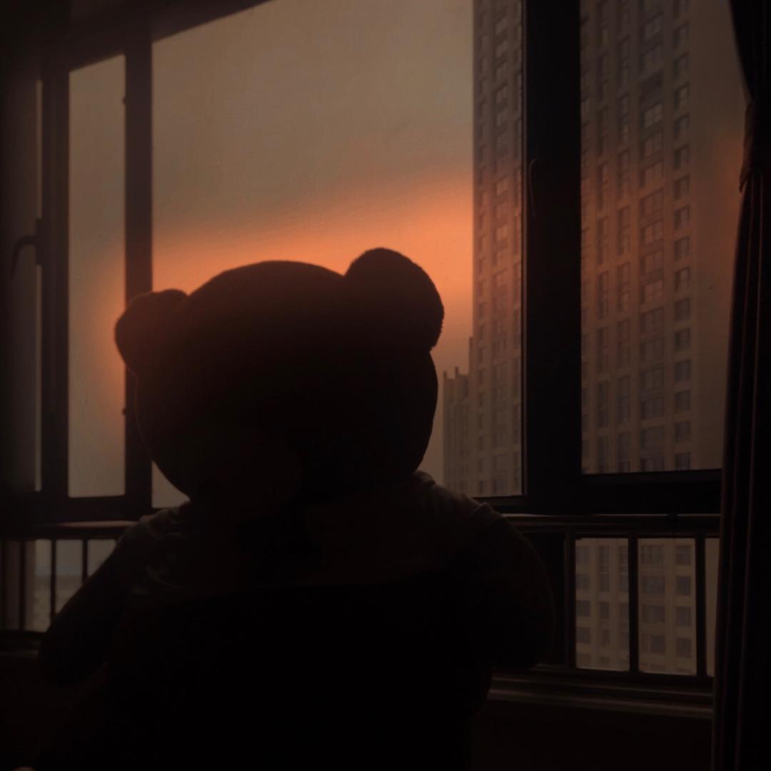 好大一只熊