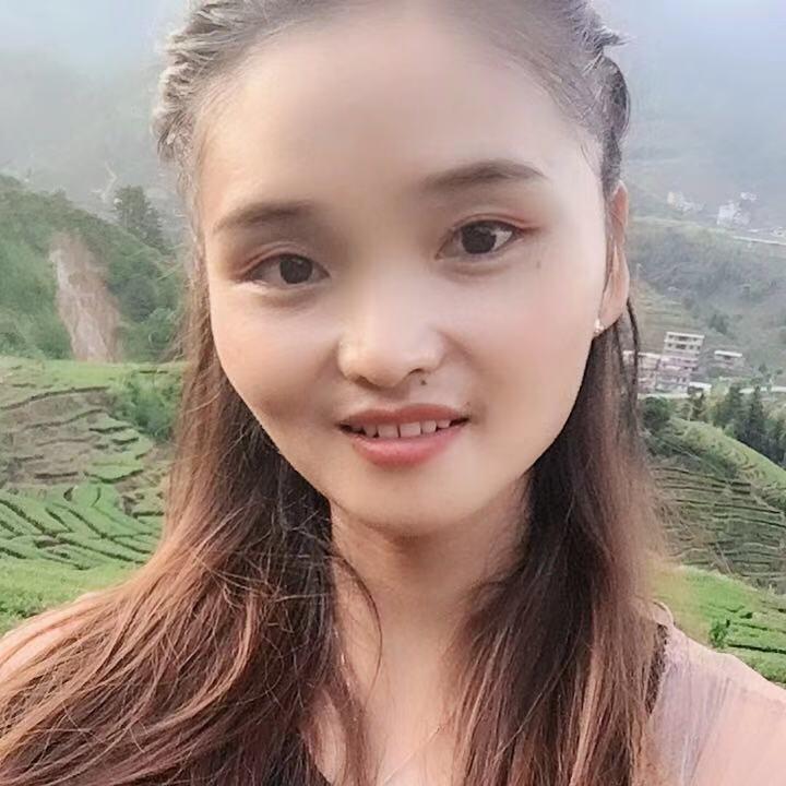 高山云雾茶女