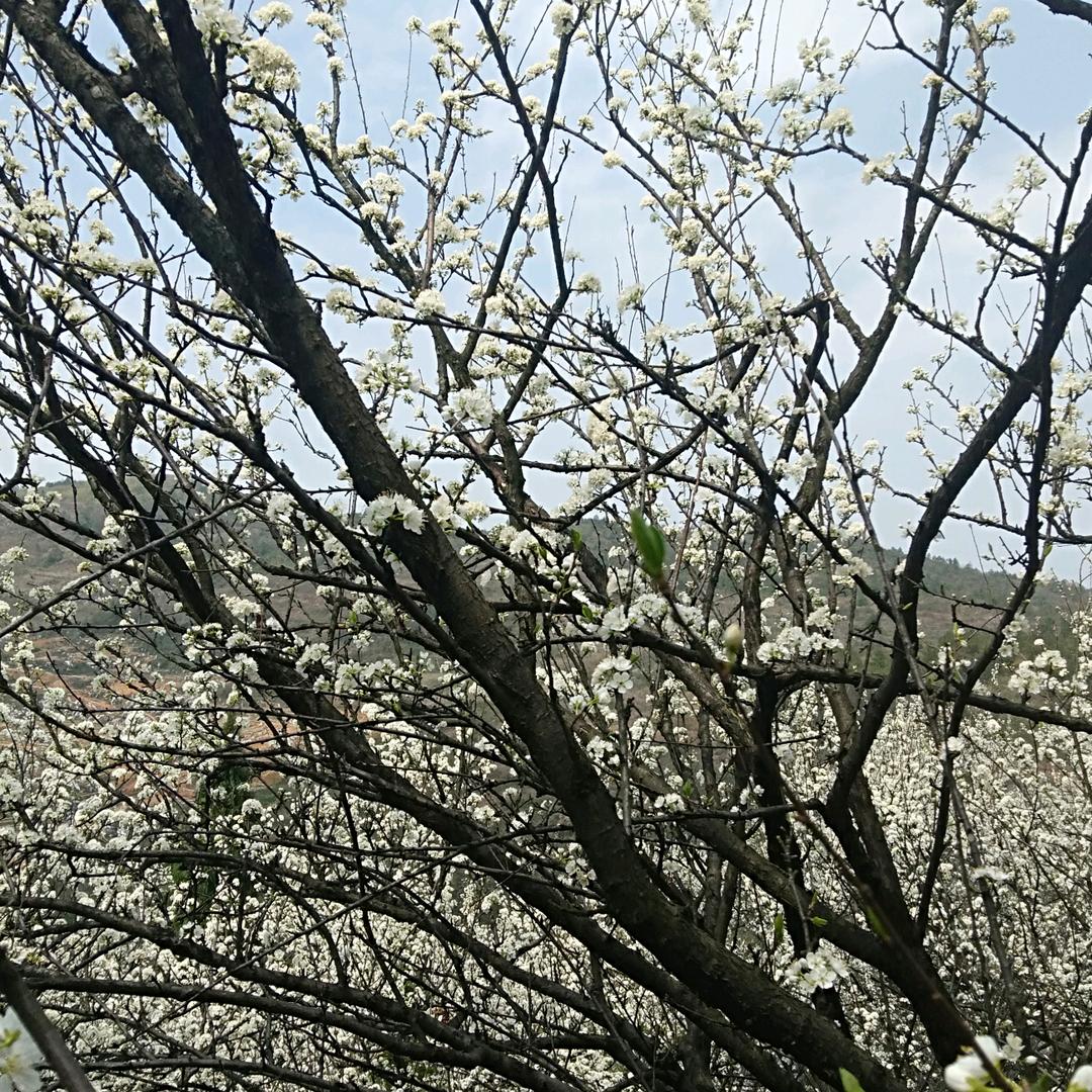 别给青春留遗憾