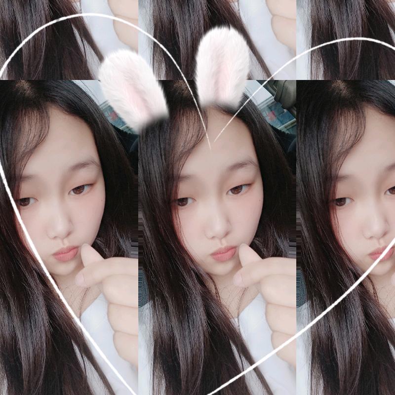小笨蛋
