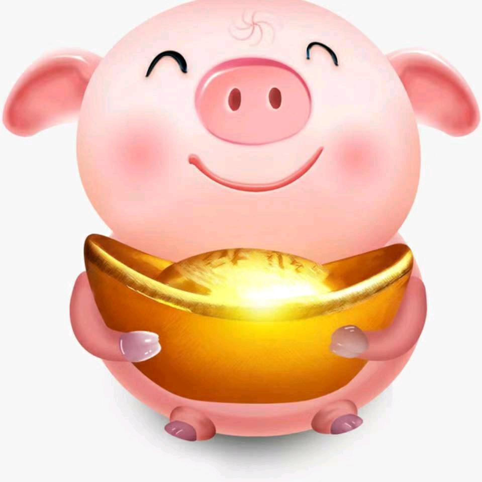 养猪问小曼