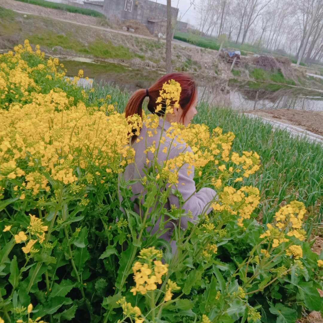 🥀້໌ᮨ浅时光꧔ꦿ༊