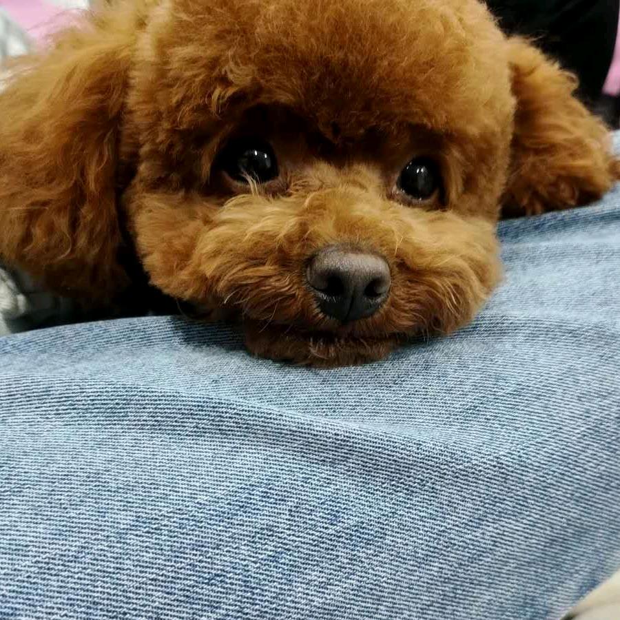 千惠  墨者  矷惠