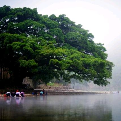 懂不懂💞茶💞