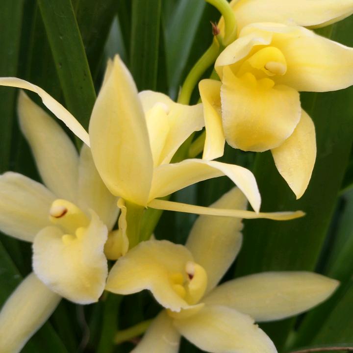一生有你`