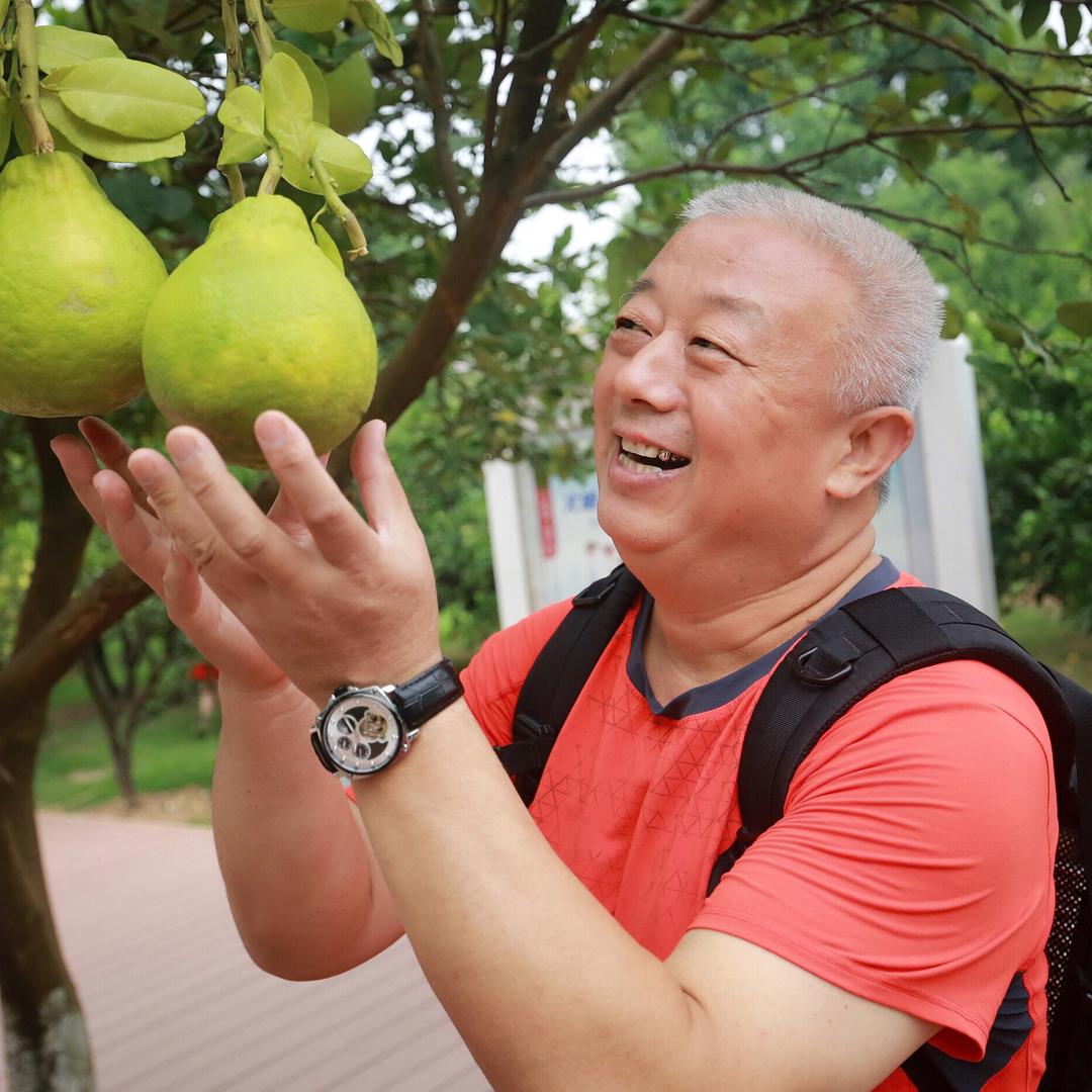 退休老爸