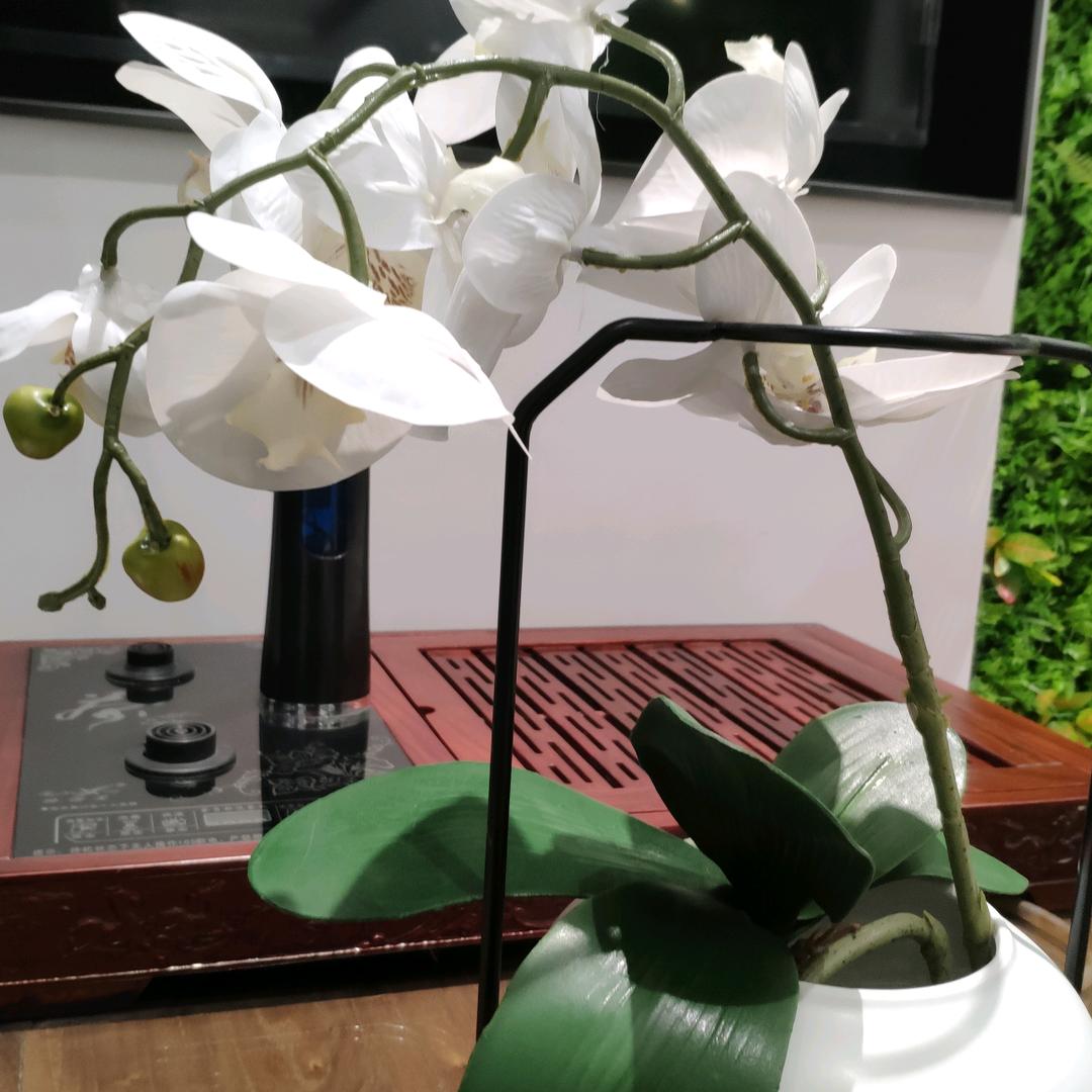 无所谓爱谁一谁