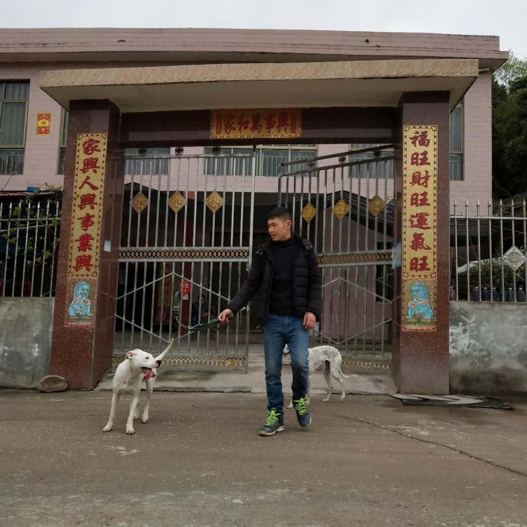 乐至县佳美羊业专业合作社