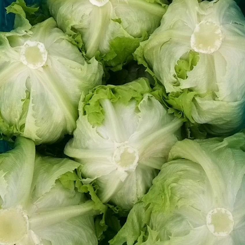 生菜代收。王建