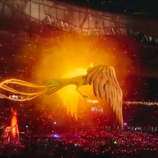 单身女人👩👩