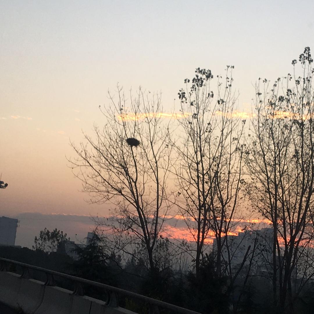梁梁