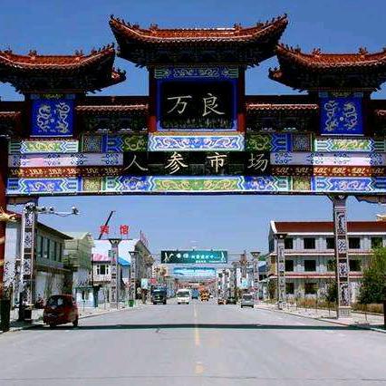 长白山参茸严选