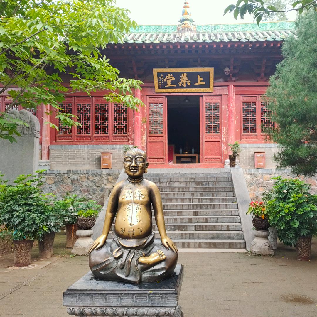 老骥伏枥