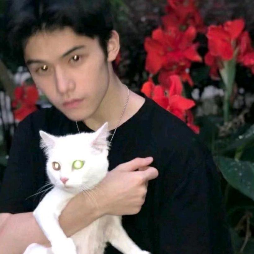 派大星偷吃薯条🍟