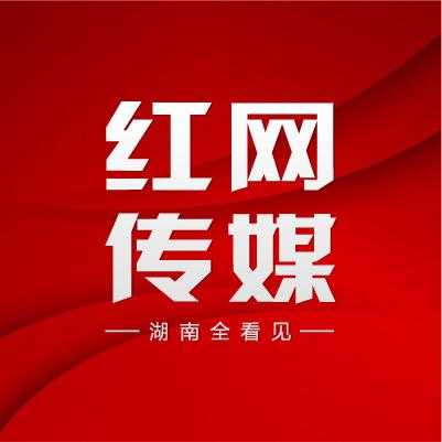 红网传媒