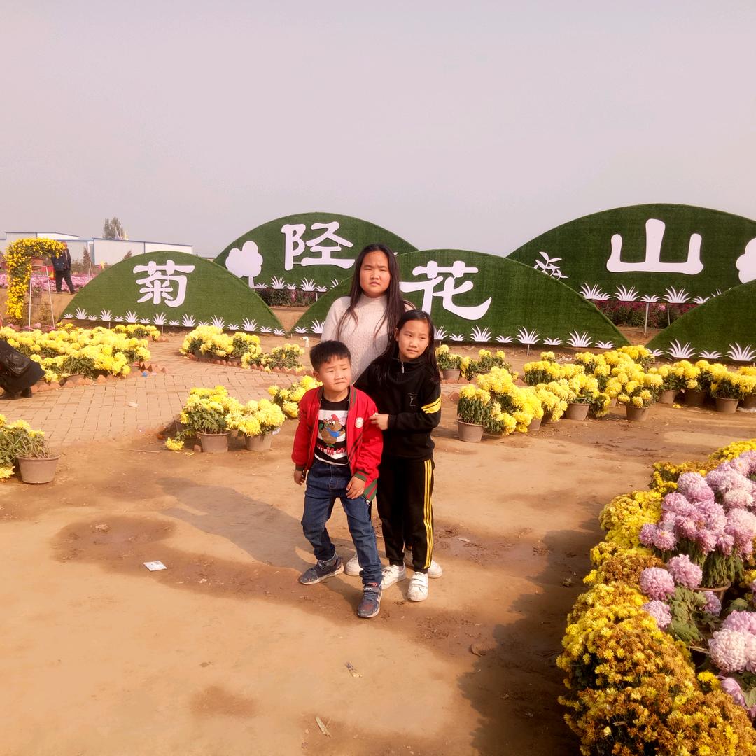 他的小可爱