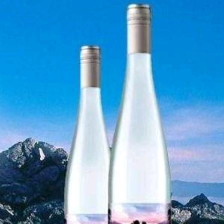 逆风更适合飞翔