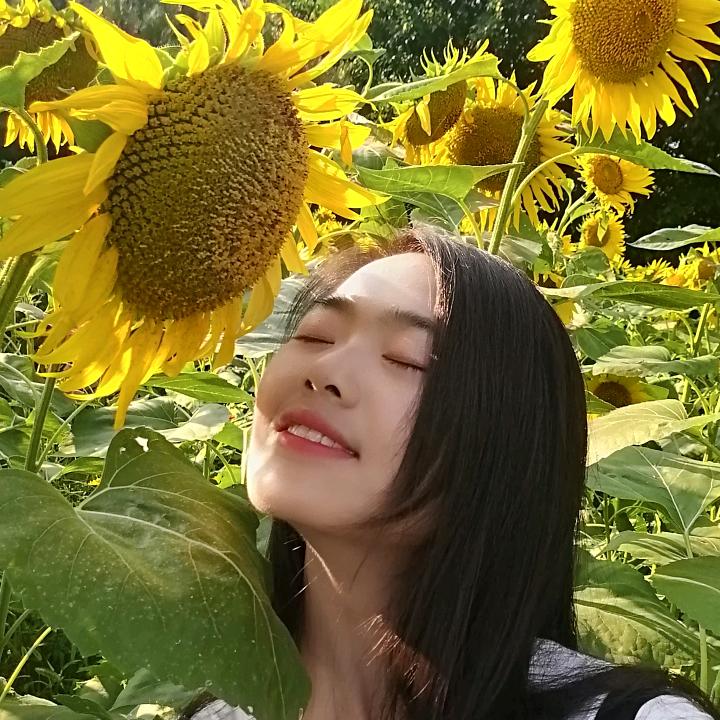 蜜欢欢