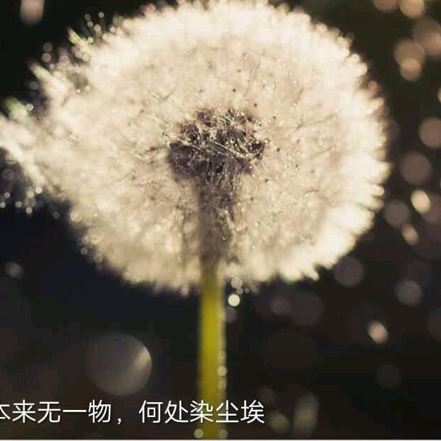 平平淡淡