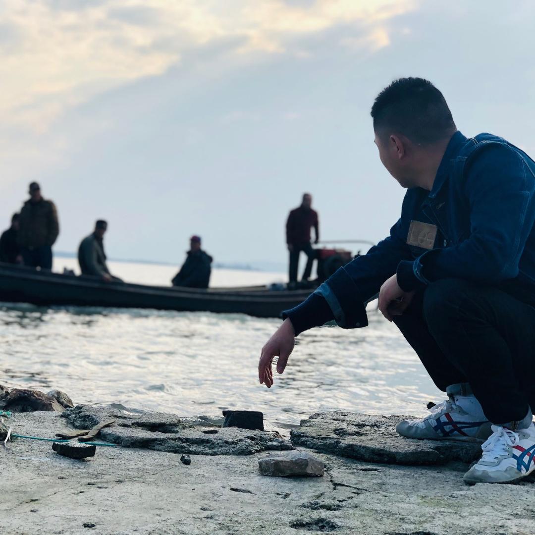 洞庭小秦东山白玉枇杷