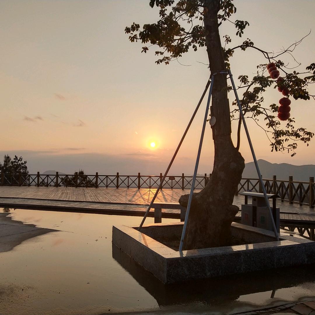 信宜特色农村农产品