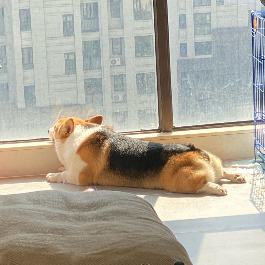 潇潇Beaking