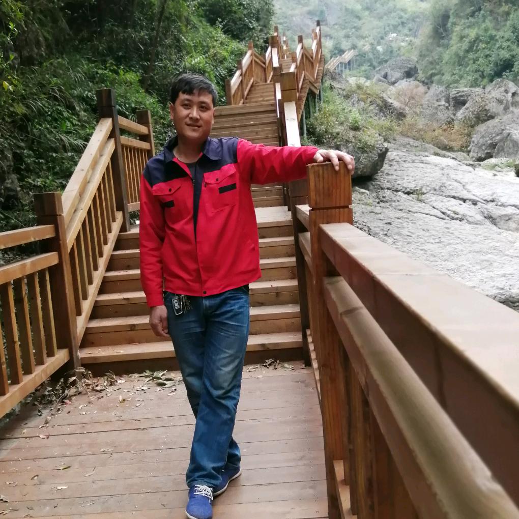 81年腊月鸡太累了