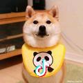 Ai 阿狸