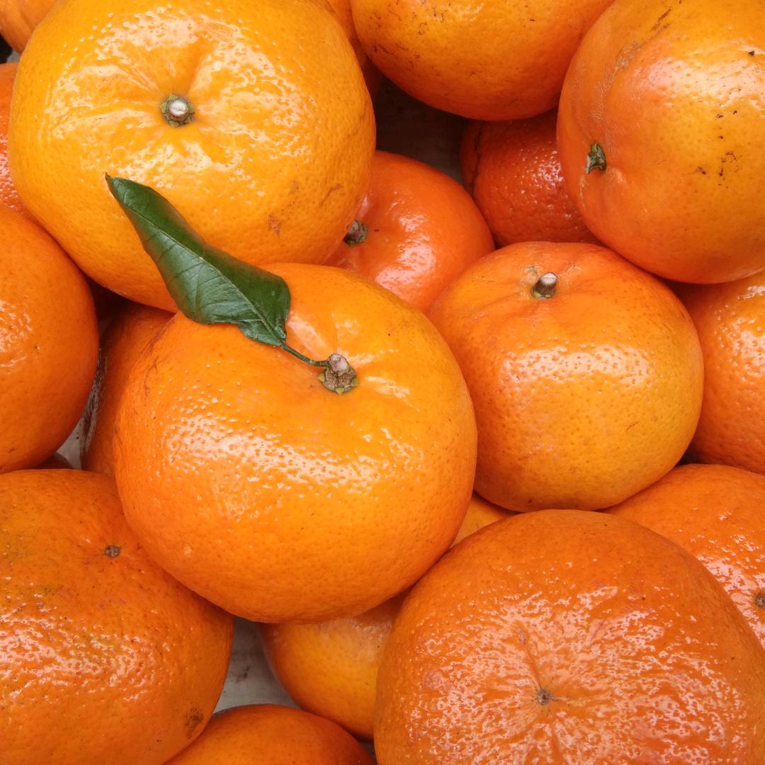 南柯一梦，过去不在回来