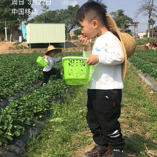 小何先生
