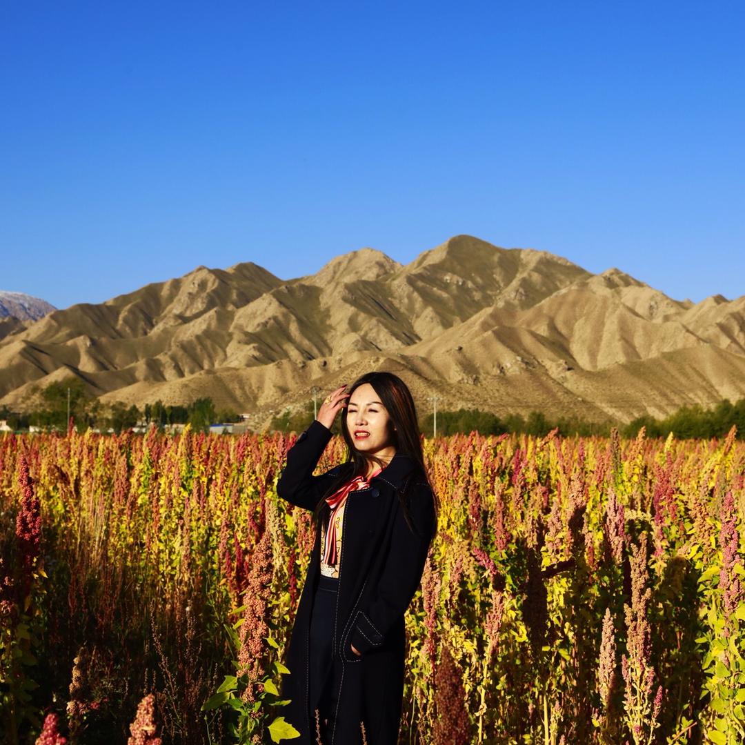 藜麦西施