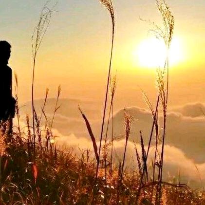 🍊ღ᭄ꦿএ随心所欲_